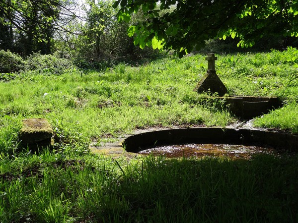 La fontaine de Kerloguennic, enterrée au milieu des arbres derrière une petite clairière