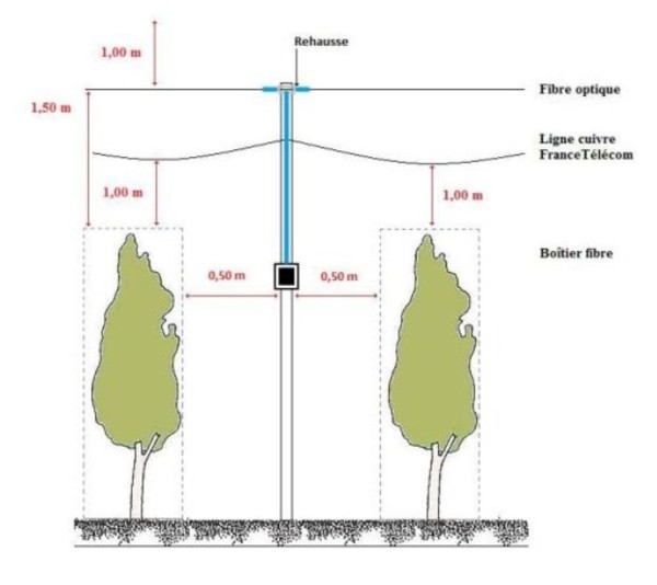 zones elagage fibre